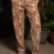 Брюки с Повторяющимися Узорами/Gobelin Trousers Брюки с Повторяющимися Узорами/Gobelin Trousers