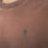 PARFET T-SHIRT BASIC BROWN PARFET T-SHIRT BASIC BROWN