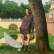 Худи Classic CG Hoodie, серо-фиолетовый Худи Classic CG Hoodie, серо-фиолетовый