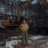 Куртка Landscape Dept. Jacket койот Куртка Landscape Dept. Jacket койот